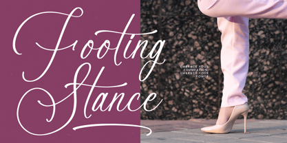 Anastasia Boutiques Font Poster 3