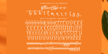 Dreams Pluffy Font Poster 14