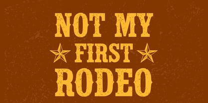 Cactus Ridge Font Poster 4