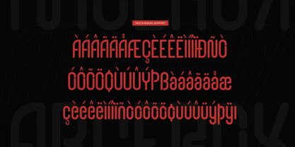 Arcerox Font Poster 11