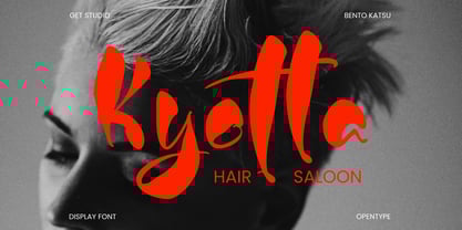 Katsu Bento Font Poster 3