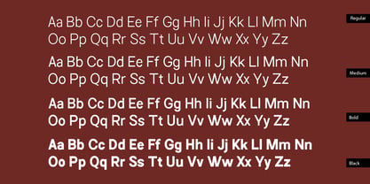 Choice Sans Font Poster 4