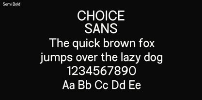 Choice Sans Font Poster 6