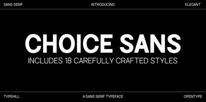 Choice Sans Font Poster 1