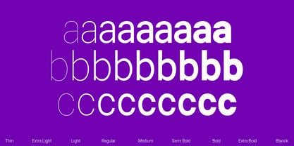Choice Sans Font Poster 7