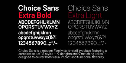 Choice Sans Font Poster 12