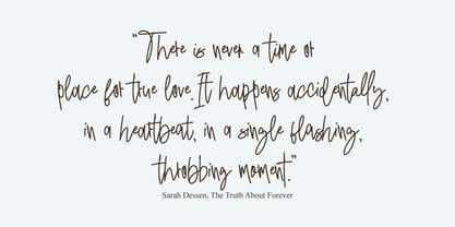 Mandiny Signature Font Poster 5