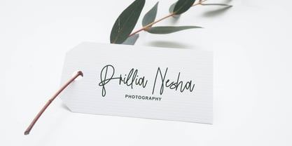 Mandiny Signature Font Poster 7