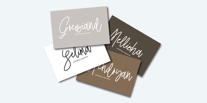 Mandiny Signature Font Poster 4