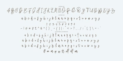 Mandiny Signature Font Poster 9