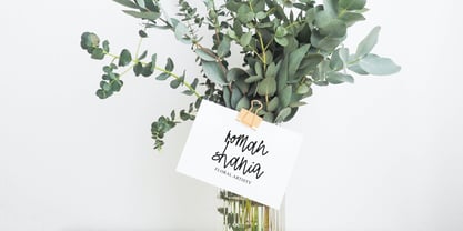 Mandiny Signature Font Poster 8