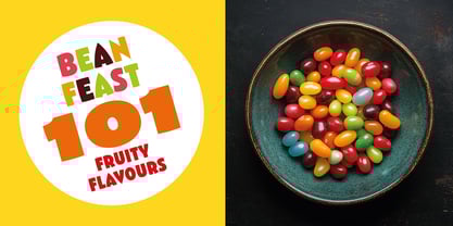 Bradbury Five Font Poster 7