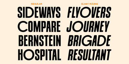 Monach Font Poster 5