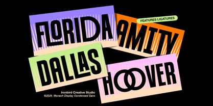 Monach Font Poster 4