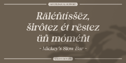 Calive Rough Font Poster 5