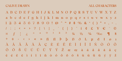 Calive Drawn Font Poster 6