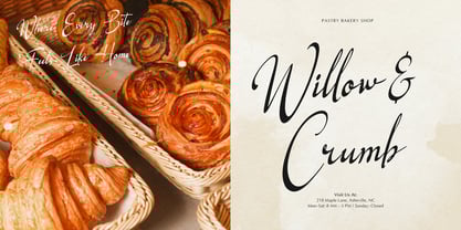 Logically Signature Font Poster 2