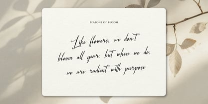 Logically Signature Font Poster 4