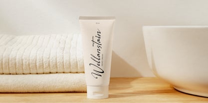 Logically Signature Font Poster 8