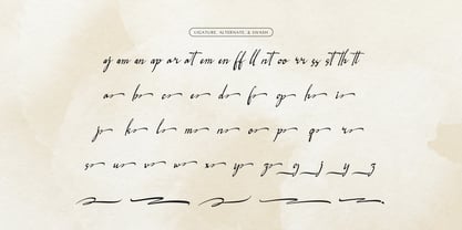 Logically Signature Font Poster 12