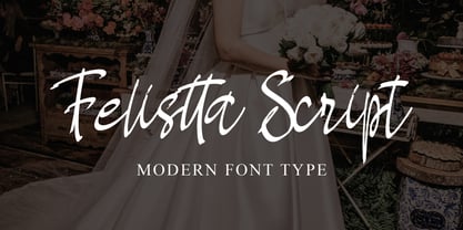 Felistta Script Font Poster 7