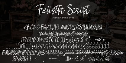 Felistta Script Font Poster 8