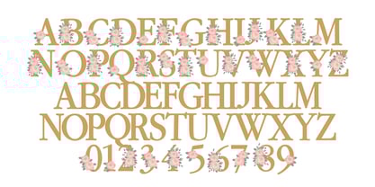 Soul Mates Font Poster 7