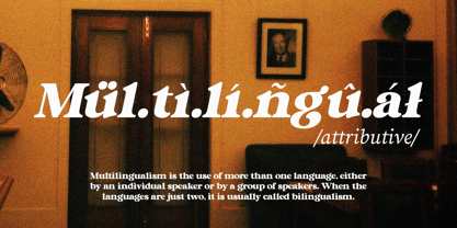 Mugello Serif Font Poster 10