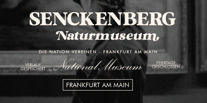 Mugello Serif Font Poster 7