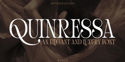 Quinressa Font Poster 1