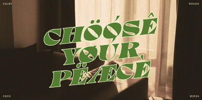 Calby Rough Font Poster 5