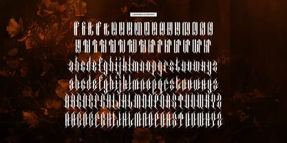 Gaudero Font Poster 12