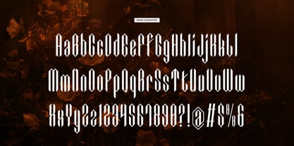 Gaudero Font Poster 10