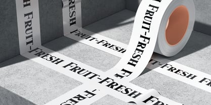 Quelque Font Poster 5