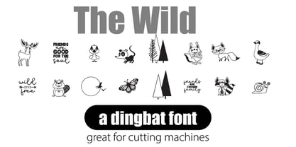 The Wild Font Poster 4