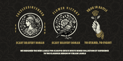 Fd Liondales Font Poster 5