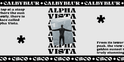 Calby Blur Font Poster 4