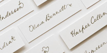 Fairy Bloom Font Poster 9