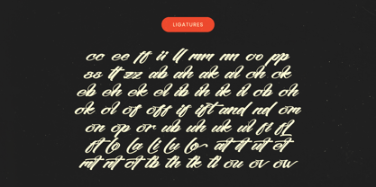 Santos Kulture Font Poster 8