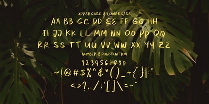 Monaco Brush Font Poster 6