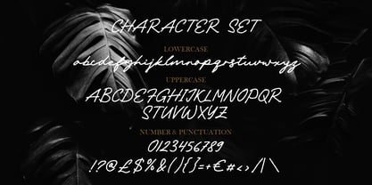 Ravonna Touch Font Poster 5