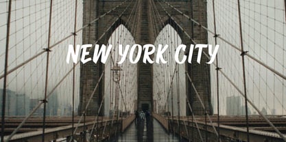 Sign Painting Script Font Poster 4