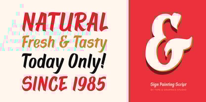 Sign Painting Script Font Poster 11