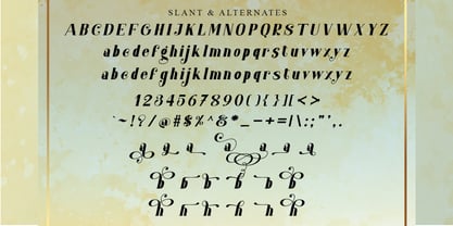 Mextpro Font Poster 11