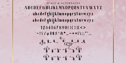 Mextpro Font Poster 13