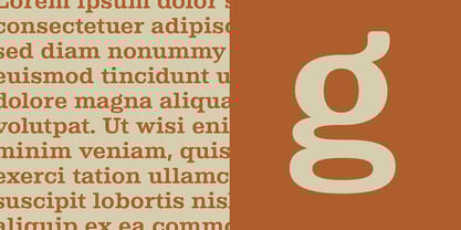 Albiona Font Poster 4