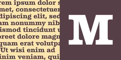 Albiona Font Poster 8