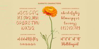 Garnite Font Poster 7