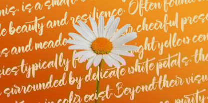 Garnite Font Poster 6