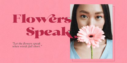 Barselo Font Poster 9